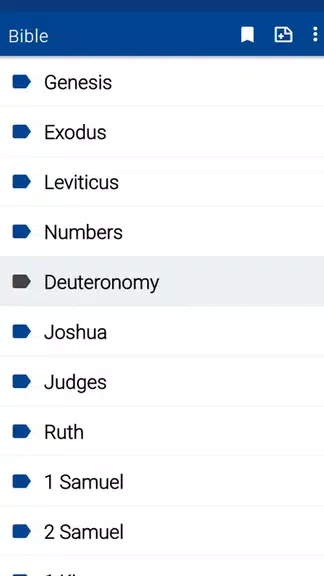 Spurgeon Bible Commentary Schermafbeelding 1