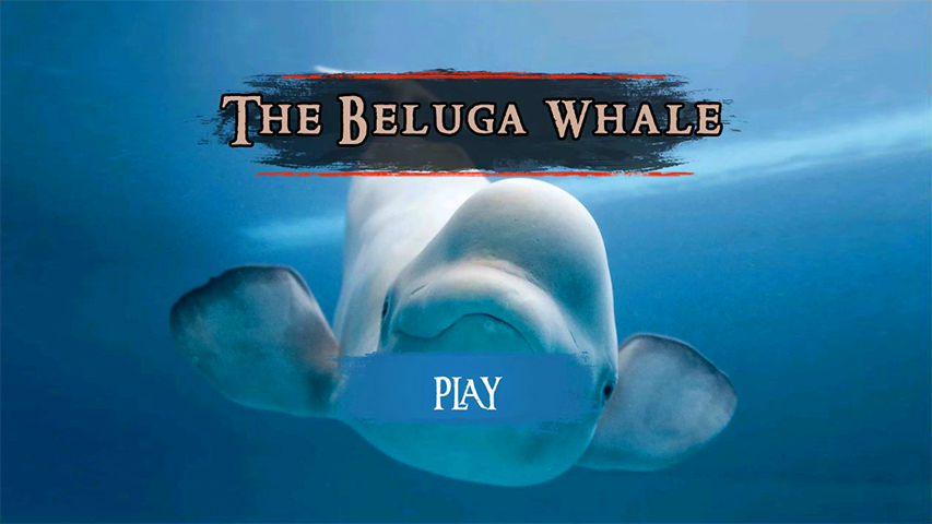 The Beluga Whale应用截图第2张