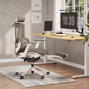 Flexispot Chair