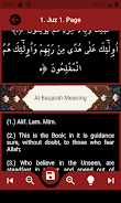 The Holy Quran and its Meaning Captura de tela 3