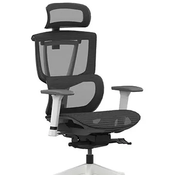 Cadeira ergonômica do Flexispot C7