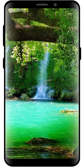 10000 Nature Wallpapers应用截图第3张