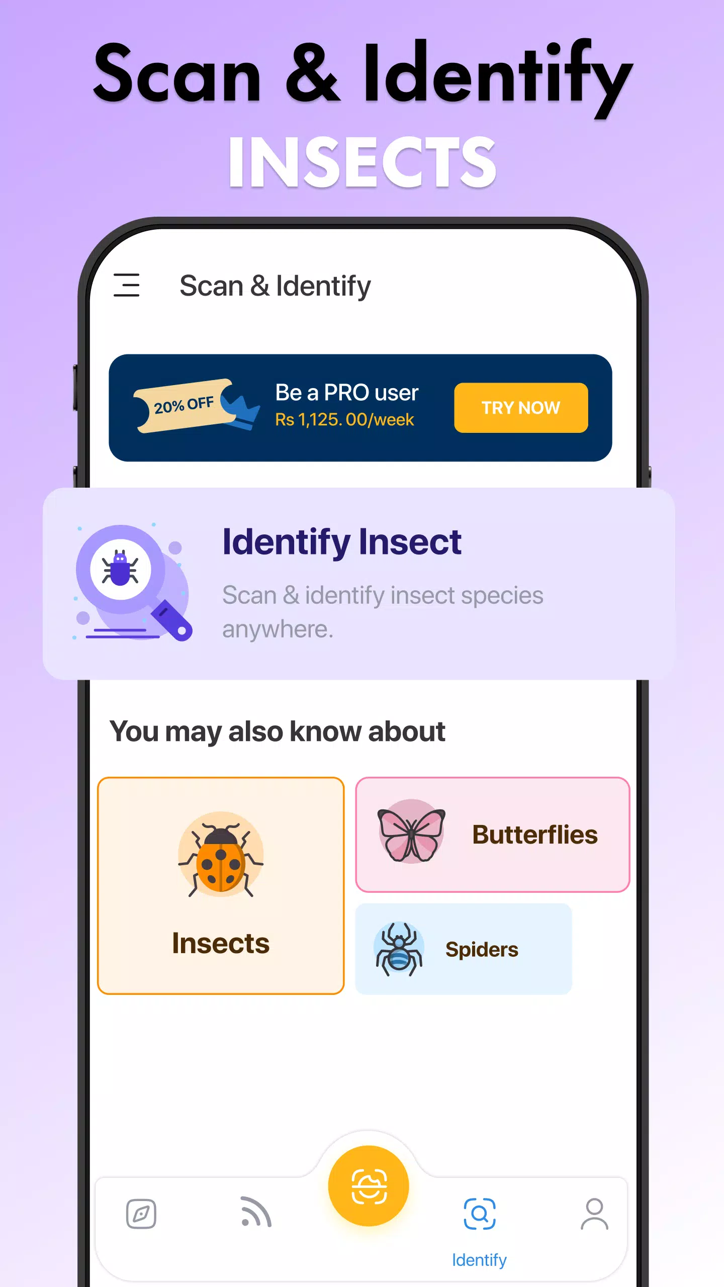 Insect Identifier Bug Identify スクリーンショット 3