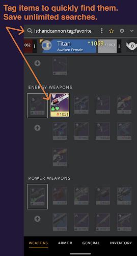 Destiny Item Manager Screenshot 1