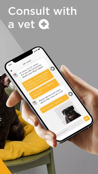 Petcube Zrzut ekranu 3