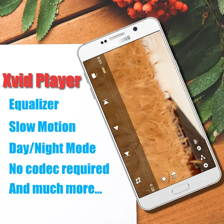 Schermata Xvid Video Codec Player 0