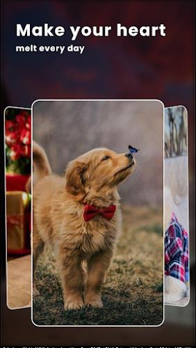 Puppy Love: Cute Dog Wallpaper স্ক্রিনশট 2