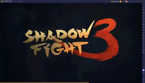 2025년 6월 보상 코드로 Shadow Fight 3 진행 속도 높이기