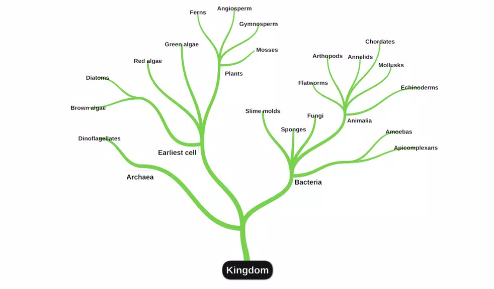 miMind - Easy Mind Mapping ภาพหน้าจอ 1