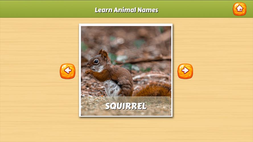 Learn Animal Names Capture d'écran 0