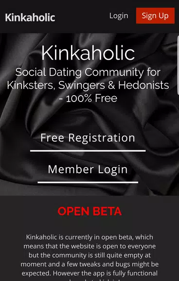 Kinkaholic 스크린샷 0