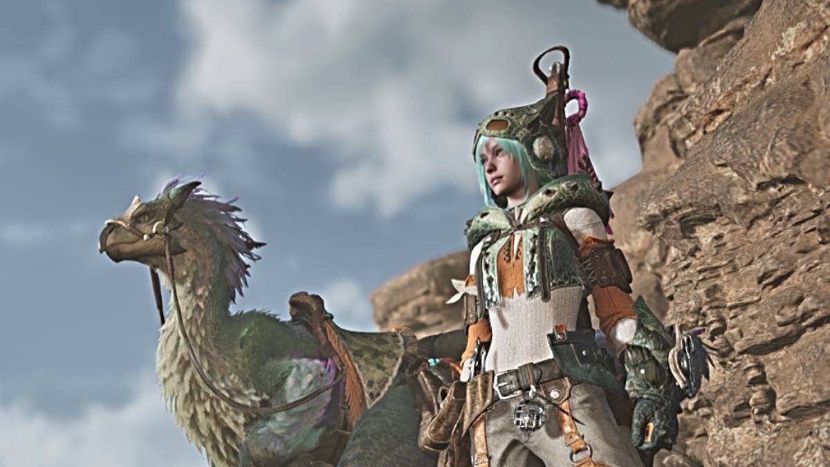 Monster Hunter Wilds အတွက်ဇာတ်ကောင်နှင့် seikret