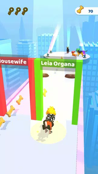 Groomer run 3D Ekran Görüntüsü 3