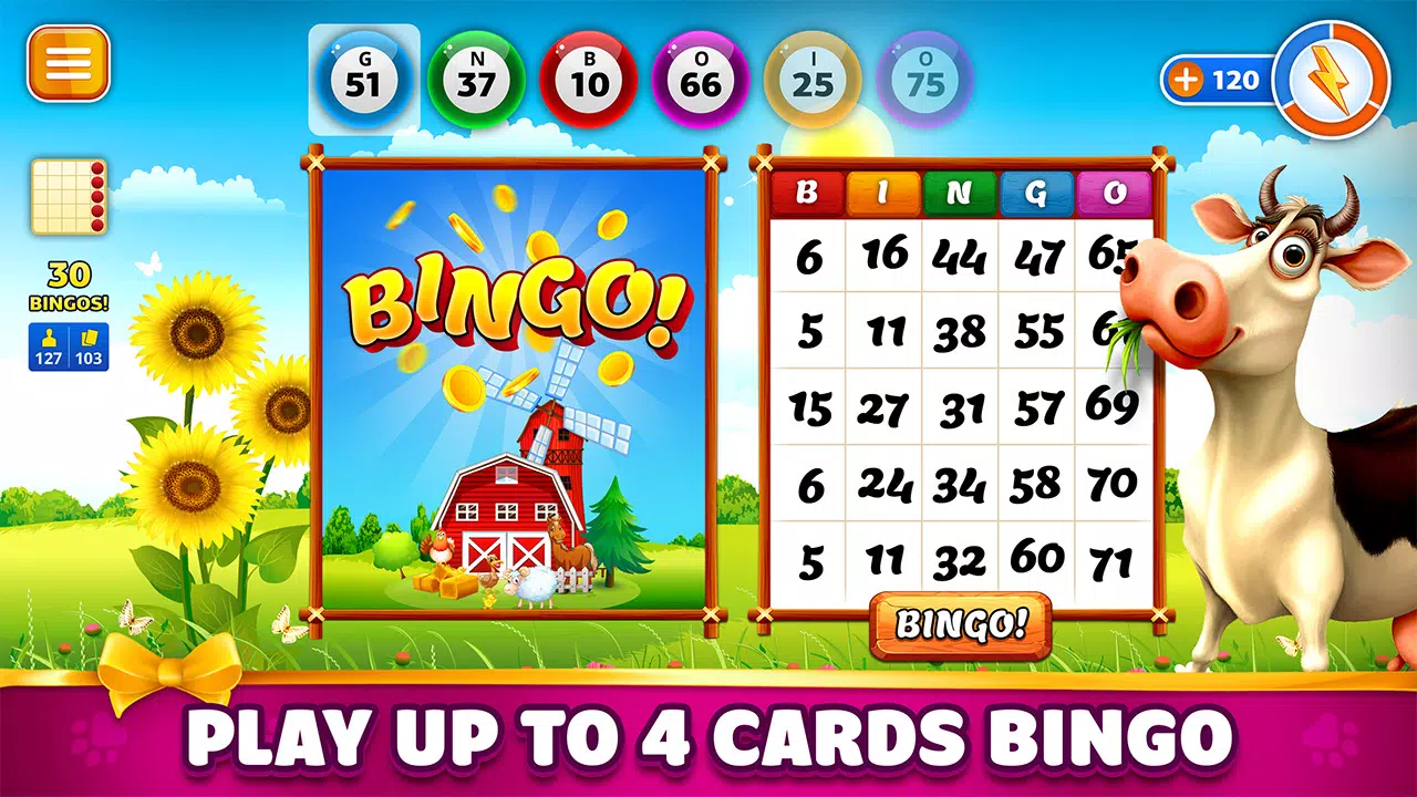 Pet Bingo: Bingo Game 2024 স্ক্রিনশট 3