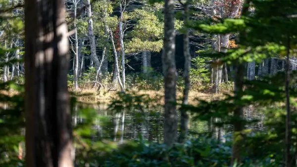 Tehlike ve güzellik duygusu için Hokkaido'da yer alan Yotei'nin hayaleti