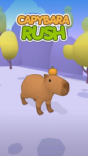 Capybara Rush Capture d'écran 0
