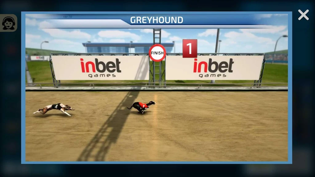 Dogs3D Races Betting ဖန်သားပြင်ဓာတ်ပုံ 3