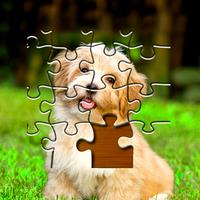 Jigsaw Puzzles Clash