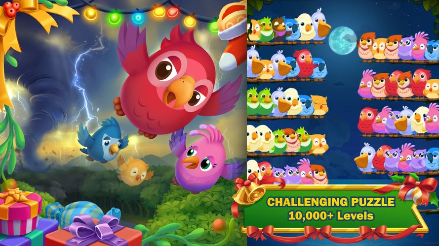 Bird Story ภาพหน้าจอ 3