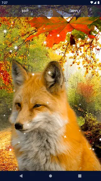 Parallax Nature Live Wallpaper 螢幕截圖 3