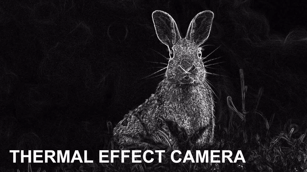 Schermata Low Light Cam Thermal Effects 0