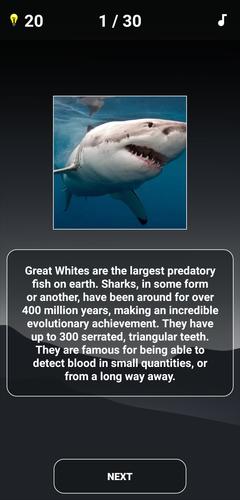 Animal Quiz: Guess the Animal Capture d'écran 3