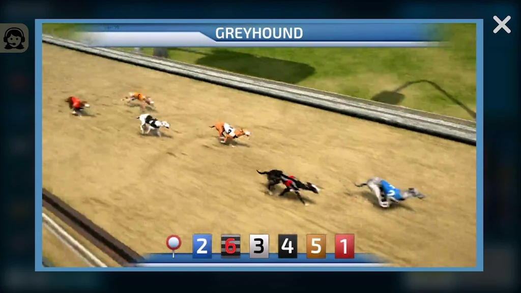 Dogs3D Races Betting ဖန်သားပြင်ဓာတ်ပုံ 1