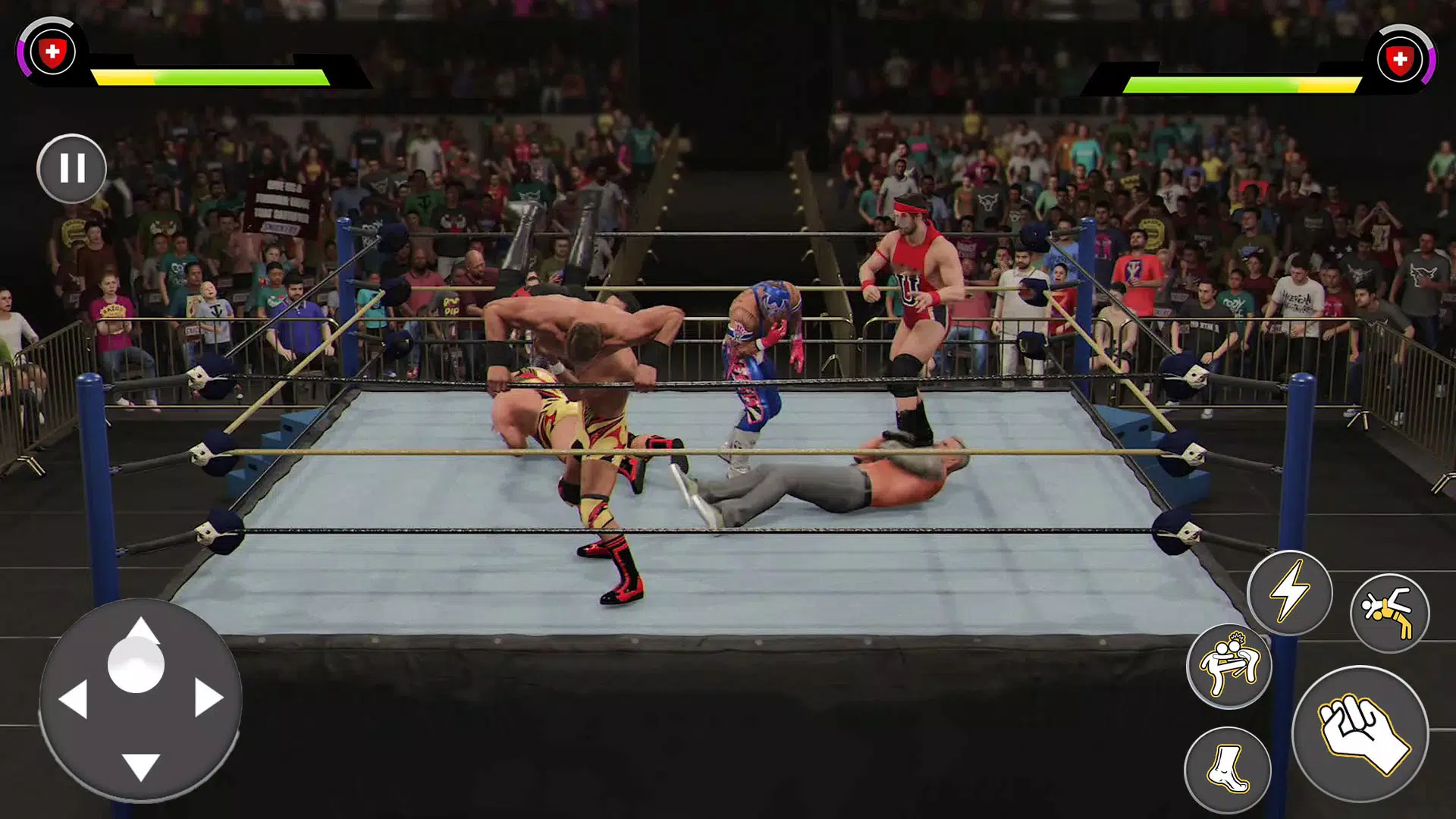 Real Wrestling Fight Screenshot 1