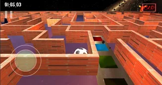 3D Maze Game ( Bhul Bhulaiya) Ảnh chụp màn hình 3