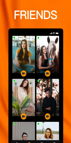 Bunny Hub ဖန်သားပြင်ဓာတ်ပုံ 1