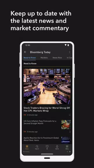 Bloomberg Professional Screenshot 2