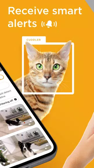 Petcube Zrzut ekranu 1