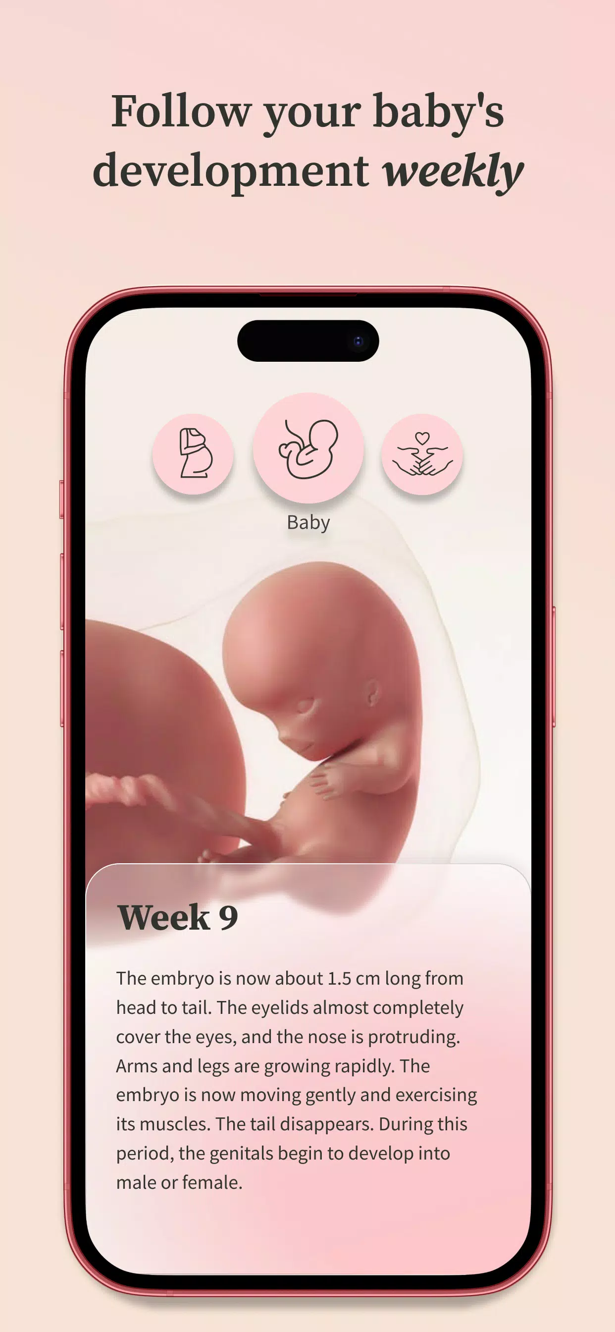 Preglife スクリーンショット 2