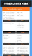 Deleted Audio Recovery应用截图第2张