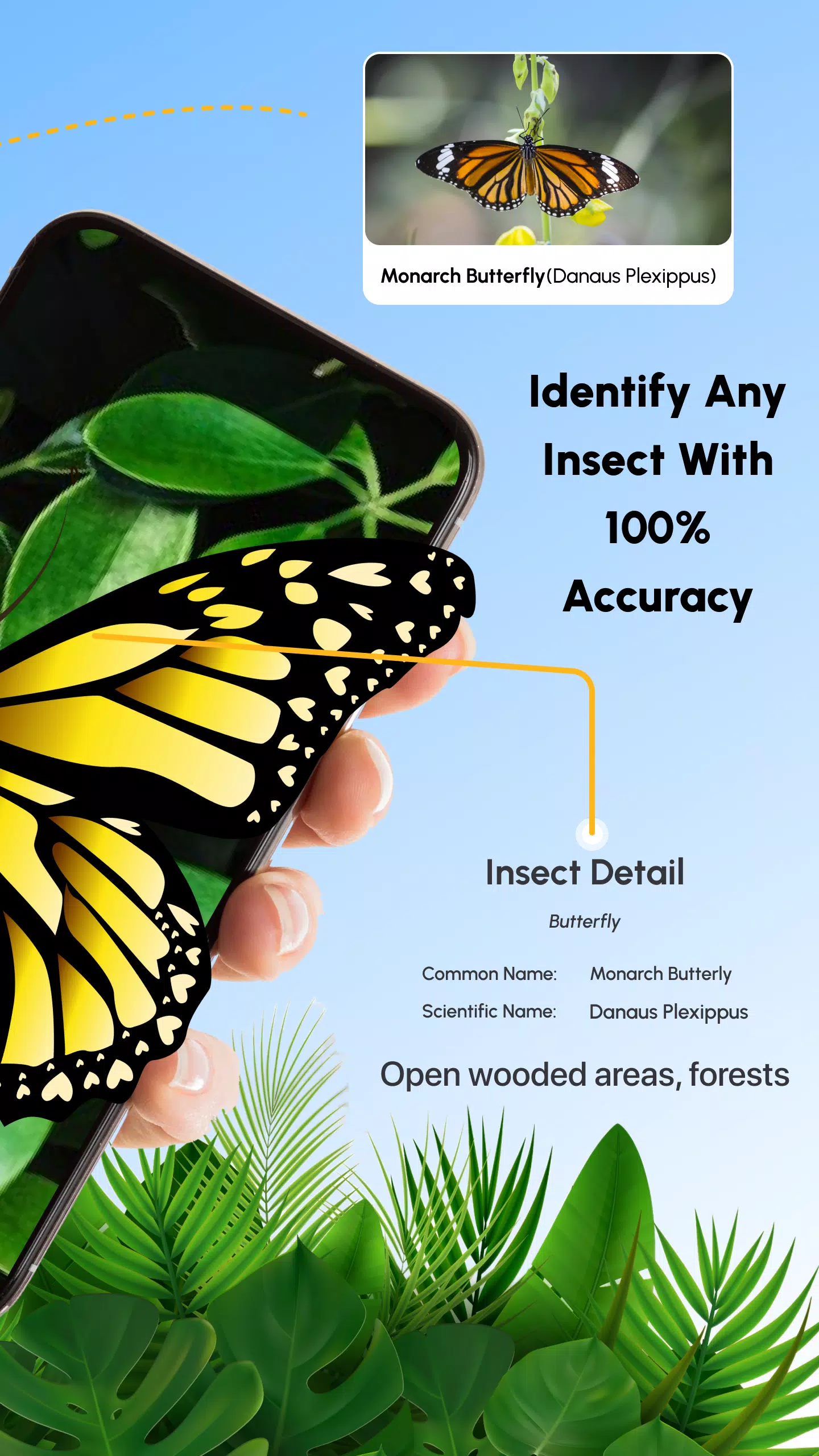 Insect Identifier Bug Identify スクリーンショット 1