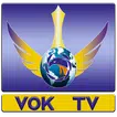 VOKTv