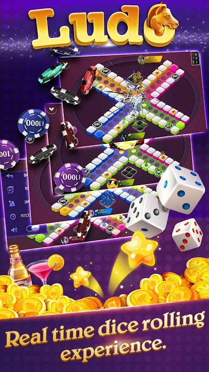 Ludo Burma Capture d'écran 1