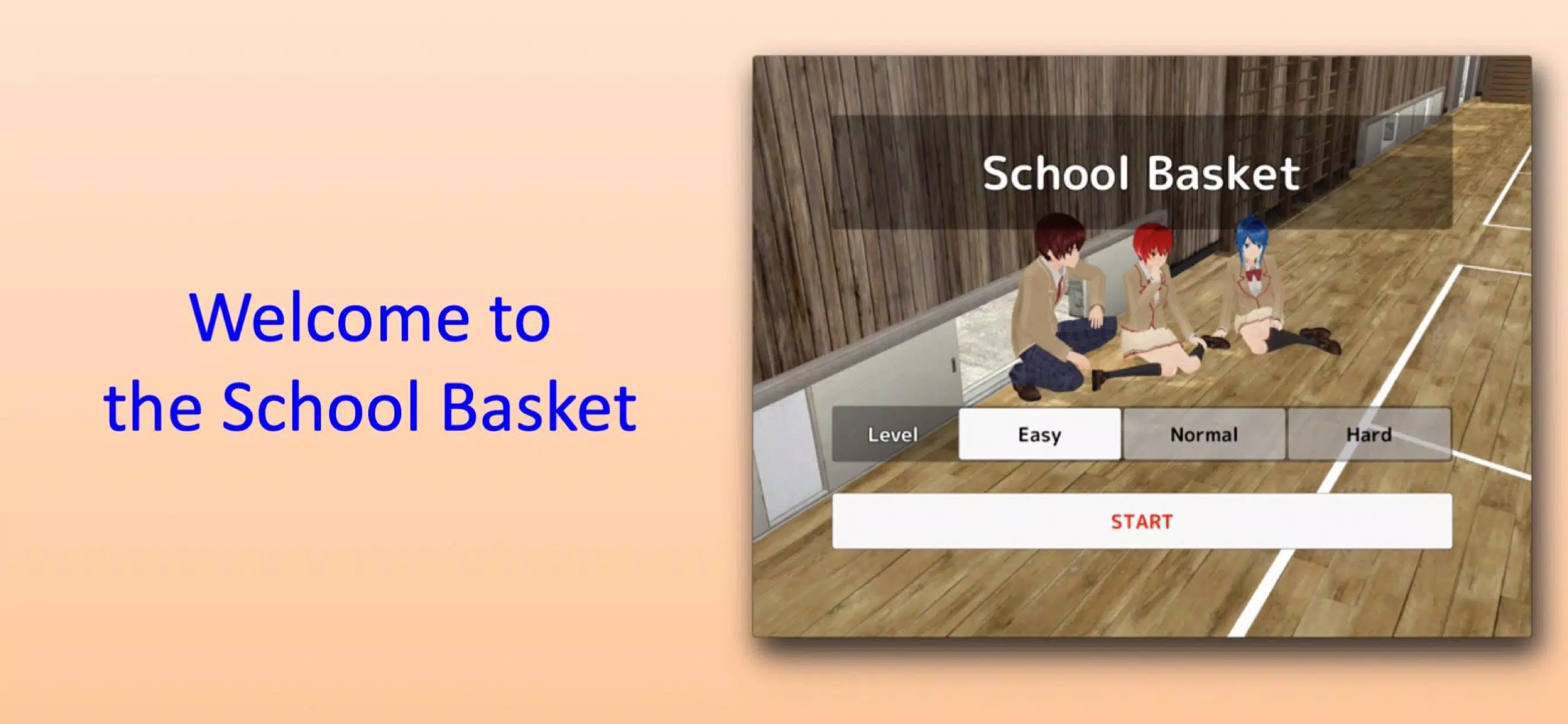 School Basket应用截图第0张