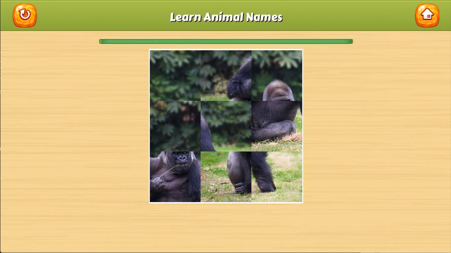 Learn Animal Names Capture d'écran 3