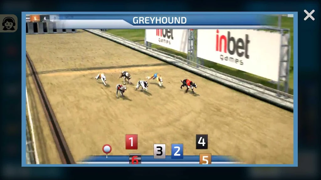 Dogs3D Races Betting ဖန်သားပြင်ဓာတ်ပုံ 2