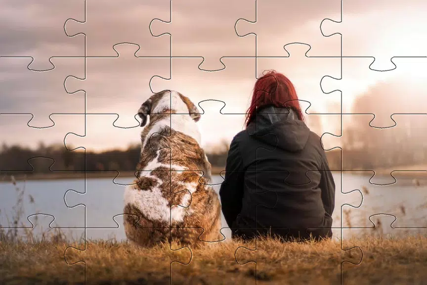 Jigsaw puzzle without internet 스크린샷 3