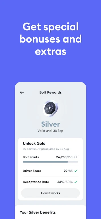 Bolt Driver: Drive & Earn ဖန်သားပြင်ဓာတ်ပုံ 1