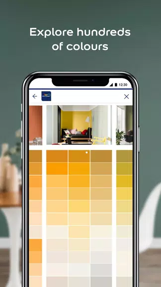 Dulux Visualizer PK 螢幕截圖 1