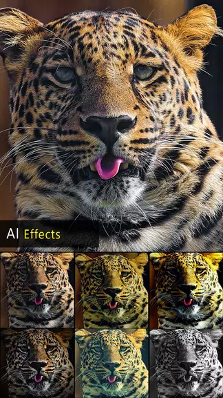 HD Photo Editor ဖန်သားပြင်ဓာတ်ပုံ 0