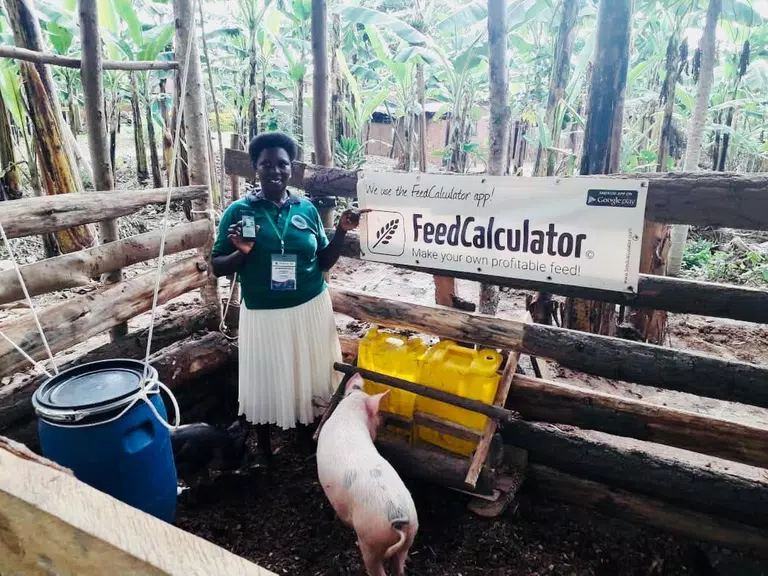 Feed Calculator for livestock Schermafbeelding 1