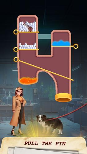 Pin Detective Captura de tela 1