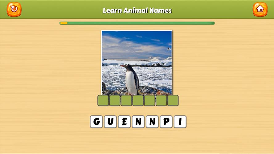 Learn Animal Names Capture d'écran 1