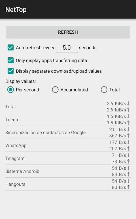 NetTop: RealTime Network Meter Captura de tela 1