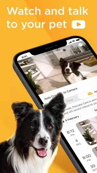 Petcube Zrzut ekranu 0