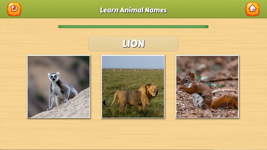 Learn Animal Names Capture d'écran 2